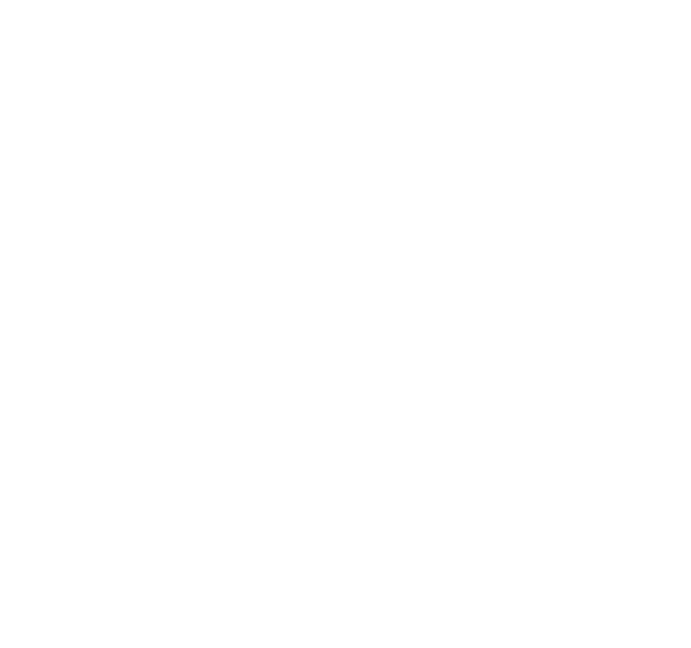 Herdzin_Stahlrohrgerüstbau GmbH Magdeburg Logo